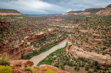Dolores River Canyon