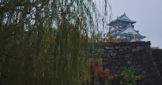 Beautiful rain fall on weeping tree near stone wall and ancient 14th century himeji castle in Japan