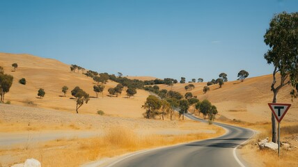 Winding asphalt road through dry golden hills with scattered eucalyptus trees under a clear blue sky, rural landscape