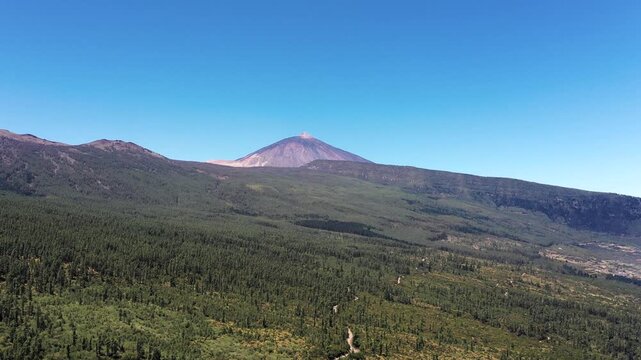 Sideways Aerial Pan with Mount Teide in the Distance and Pine Forest, Tenerife Spain