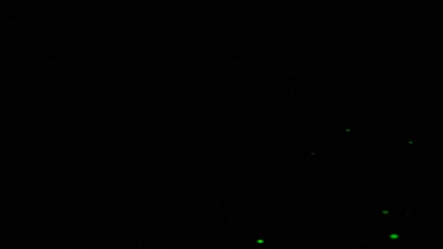 Cinematic Black Background Green Bokeh Lights Floating Motion Footage