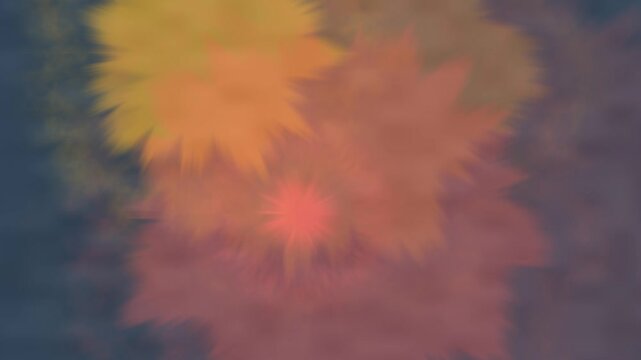 Colorful Fireworks Exploding in Dark Night Sky Abstract Motion Footage