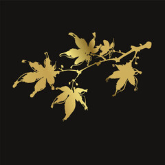 maple branch japanese chinese vector ink traditional asian golden design isolated