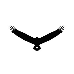 Obraz premium Silhouette of a soaring eagle with outstretched wings on white background.
