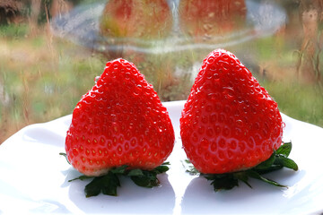 採れたての赤くて甘いイチゴ