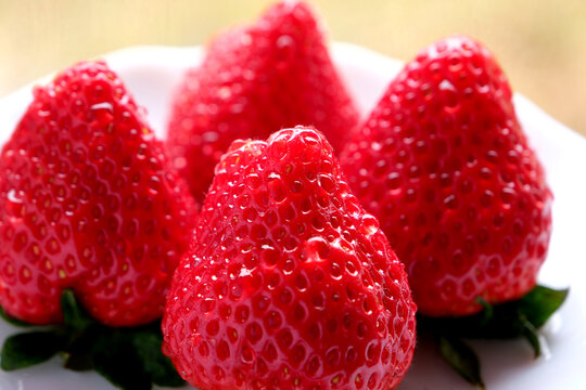 採れたての赤くて甘いイチゴ