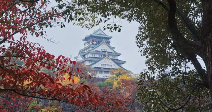 View of 16th century Osaka castle through beautiful, bright autumn trees during rain storm