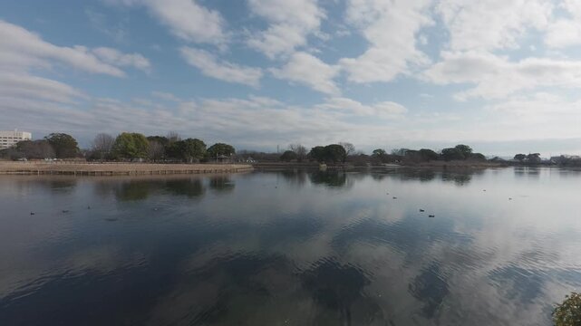 Panning shot of waterfowl on a calm lake under a blue cloudy sky