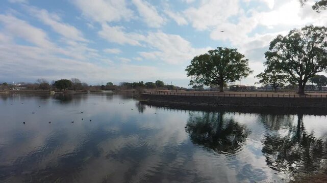 Static shot of waterfowl floating on a calm lake under a blue sky