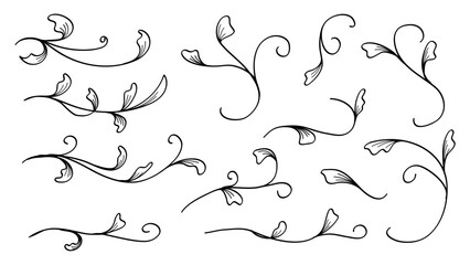 Wedding Leaves Hand Drawn Line Decoration Elements.Vector Illustration