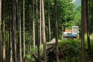 クローラータイプの木材運搬車