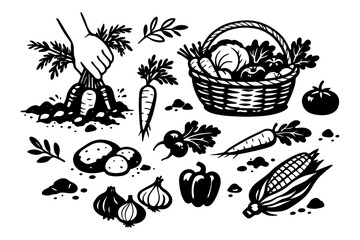 Black and white illustration of harvest with vegetables and basket