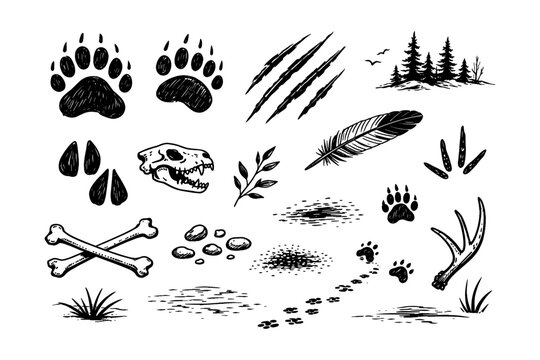 Wildlife symbols: animal tracks, skulls, bones, claws, and nature elements