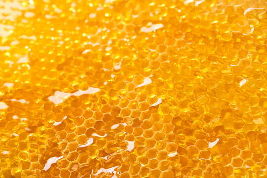 Fresh honey dripping from the honeycombs. Healthy food concept and diet.