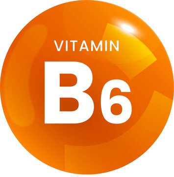 Vitamin B6 Supplement Icon &ndash; Orange Nutritional Badge Illustration