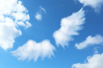 Obraz premium Angel wings formed with fluffy clouds in sky