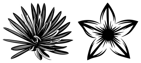 Fototapeta premium Two abstract flower designs rendered in high contrast black and white, featuring sharp and dynamic petal arrangements, ideal for graphic design or tattoo art.