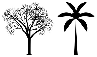 Obraz premium Leafless deciduous tree silhouette, tropical palm tree, minimalist nature graphics, vector illustration, black and white design, botanical shapes, isolated.