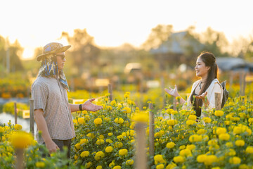 Fototapeta premium Asian couple discussing in marigold field at sunset