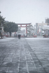 鎌倉2628　鶴岡八幡宮5　雪
