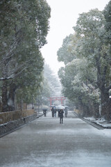 Obraz premium 鎌倉2628 鶴岡八幡宮6 雪