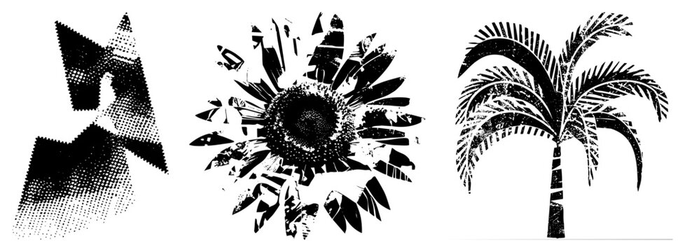 Black and white halftone vector illustrations of sunflower, star, and palm tree with distressed texture, graphic design elements, isolated foreground, stylized nature motifs.