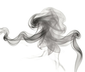 Abstract gray smoke or mist swirls and curves against a white background, creating a dynamic, flowing, and artistic visual element suitable for design and decoration.