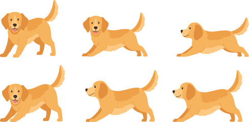 Obraz premium Golden Retriever Puppy Playing and Running Vector Set with Cute Cartoon Dog in Different Side View Action Poses Isolated on White Background