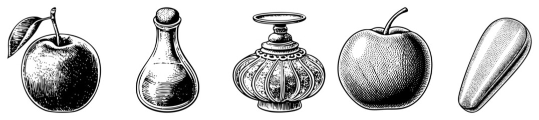 Obraz premium Classic engraved fruit and vessel illustrations, vintage engraving style, art, retro botanical design, antique graphic elements.
