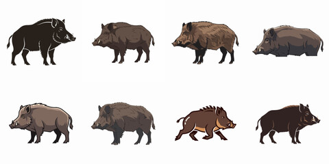 European wild boar illustration set