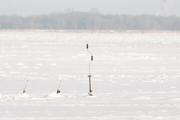 Seabirds On Ice. Winter Coastal Scene With Birds. Frozen Bay Decorated By Seabirds And Equipment
