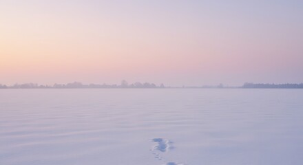 Snowy landscape with footprints and distant trees under a pastel sky winter