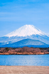 Fototapeta premium 富士山 精進湖 ３月