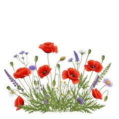 Naklejka premium A vibrant field of red poppies and purple flowers in full bloom. isolated on transparent background