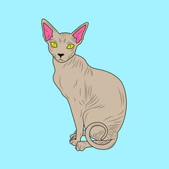 An illustrated Sphynx cat with striking yellow eyes and pink ears sits upright against a solid light blue background in a minimalist style.