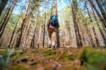 Hiking in the forest 