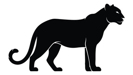Obraz premium Black silhouette of a panther standing on its hind legs with tail curled isolated on white background, Vector
