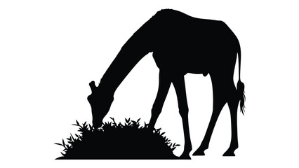 A black silhouette of a horse grazing on a patch of grass isolated on white background, Vector © SILHUETTECHEMBER