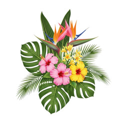 Vibrant tropical flowers with lush green leaves in a beautiful arrangement isolated on transparent background