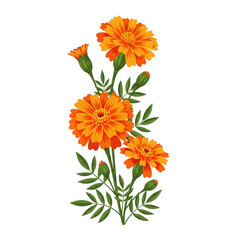 A vibrant bouquet of orange marigold flowers with green stems and leaves isolated on transparent background