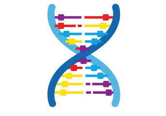 A colorful dna double helix structure isolated on transparent background