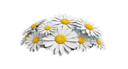 Cluster of White Daisies with Yellow Centers