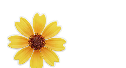 Obraz premium Yellow Daisy Flower with White Background