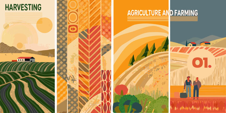 Harvesting and agriculture themed illustrated banners with fields and crops