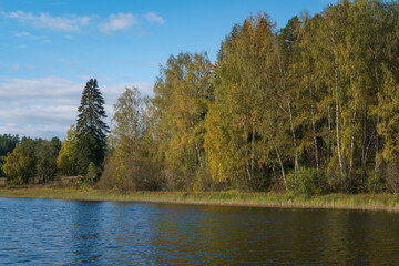 Fototapeta premium Ladoga Skerries National Park near the village of Lumivaara on a sunny autumn day, Republic of Karelia, Russia