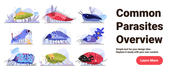 Parasite types medical infection disease pathogen overview colorful cartoon microbe organisms various shapes isolated on white background website banner