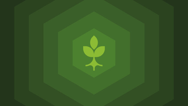 Green leaf logo on hexagonal background for eco friendly brand. Eco friendly brand logo with green leaf on hexagonal background