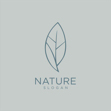 Geometric Leaf Logo Line Art Design Illustration