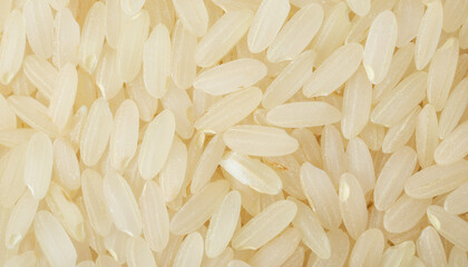 Macro shot of short grain rice seeds, suitable for food blogs, agricultural websites, and educational materials about rice cultivation.