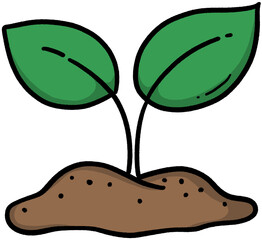 Sprouting Plant